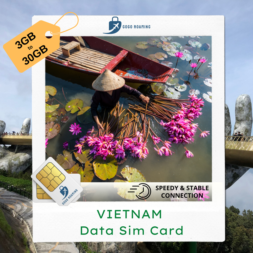 3. Vietnam Sim 3